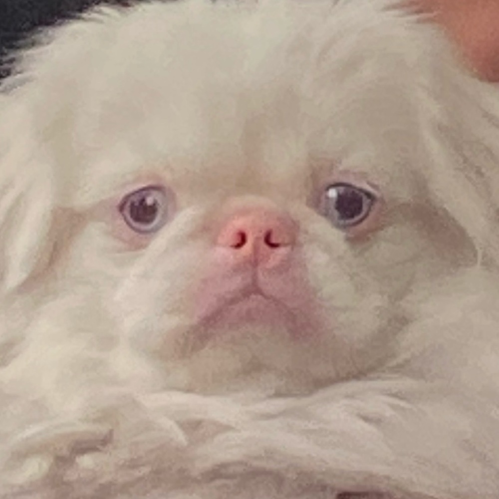 Meet your Posher, Carol